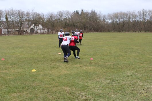 IMG_6462 null