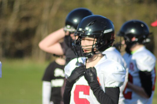 IMG_6557 null